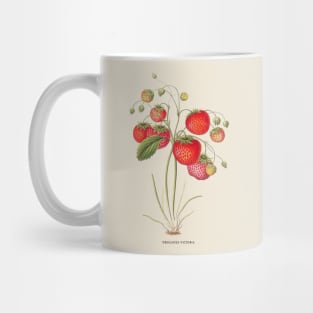 Strawberry Antique Botanical Illustration Mug